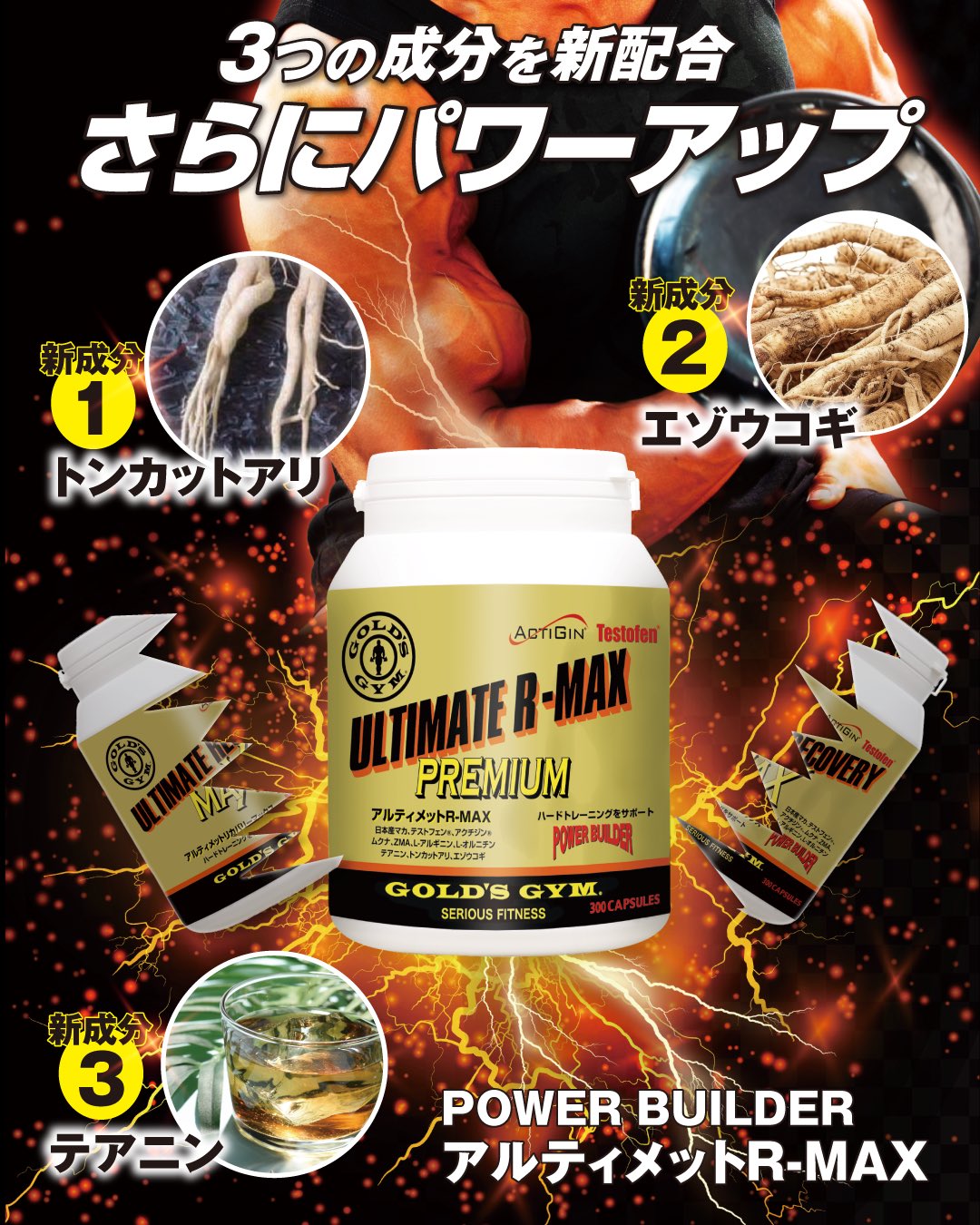 ⭐️【新品】GOLDS GYM コールトジムアルティメットリカバリーMAX GOLD'S GYMania（ゴールドジムマニア） on X: 