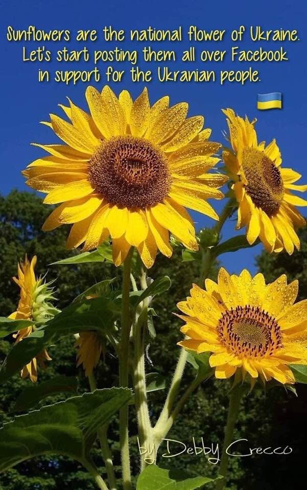 Renee walker (@reneejwalker69) on Twitter photo 