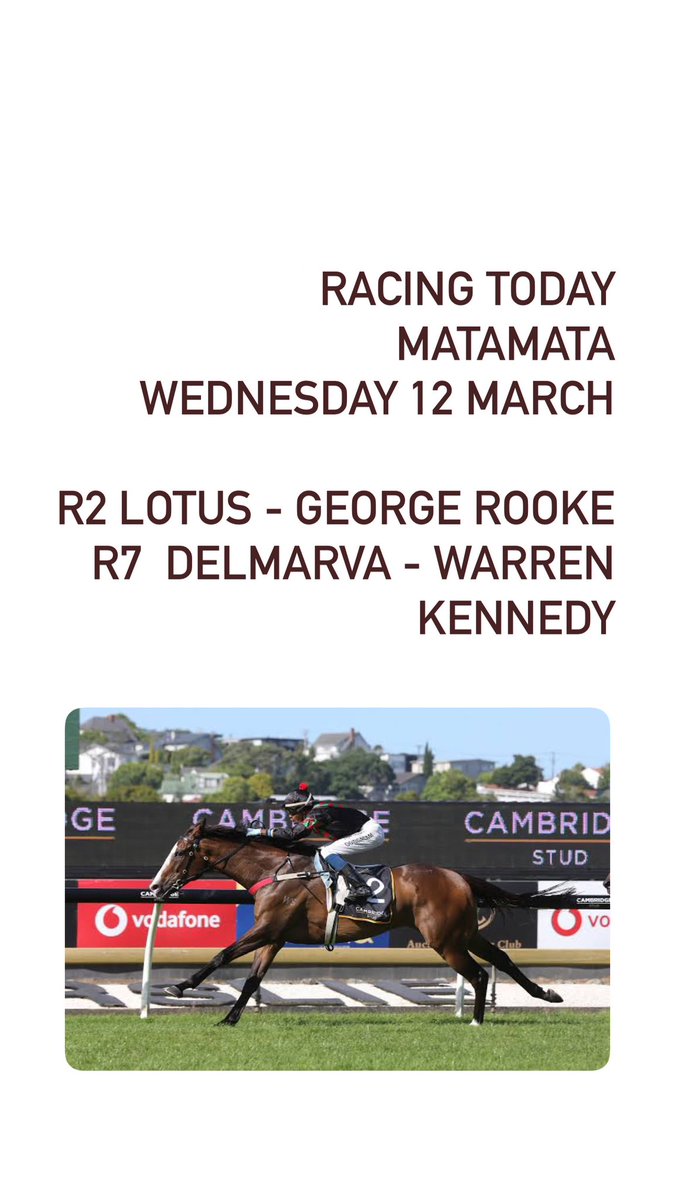 RICHARDSON RACING (@rracingstables) on Twitter photo 