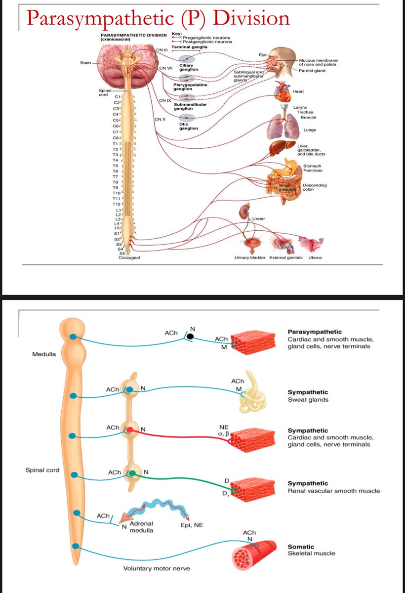 schlgirlbye's tweet image. #idontgetit