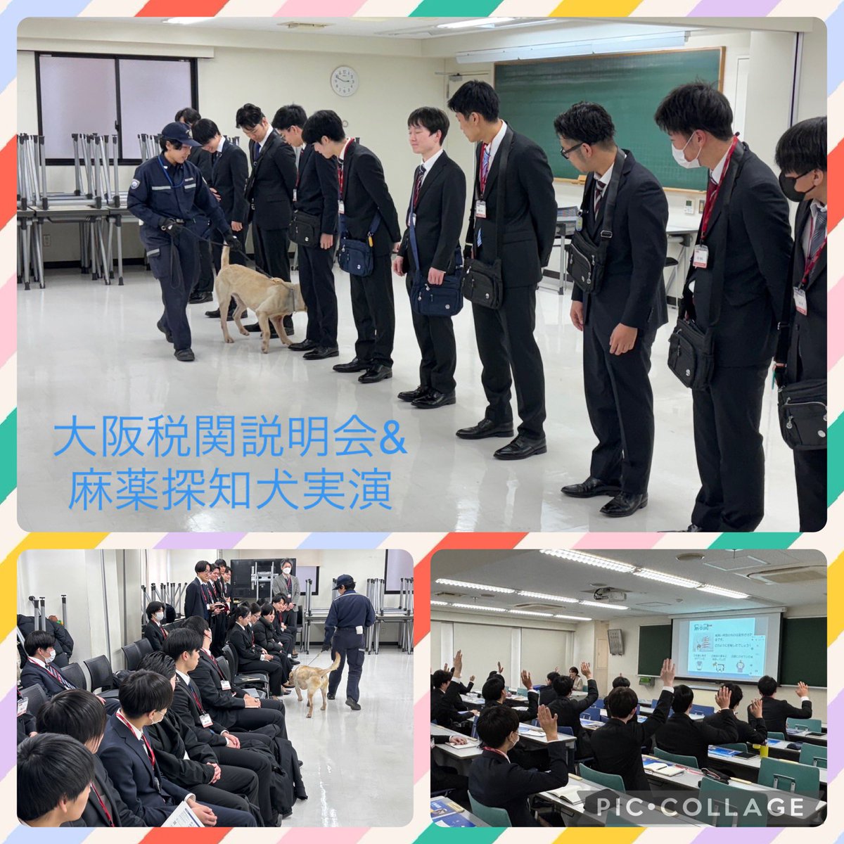大阪税関の方にお越しいただき説明会を行いました📝
税関の業務内容ややりがいについて説明を聞きました😀
後半には麻薬探知犬の実演があり、普段は見られない貴重な光景を見ることが出来ました🐶🐾
#大原　#大原学園　#梅田　#専門学校　#梅田校　#税関　#麻薬探知
