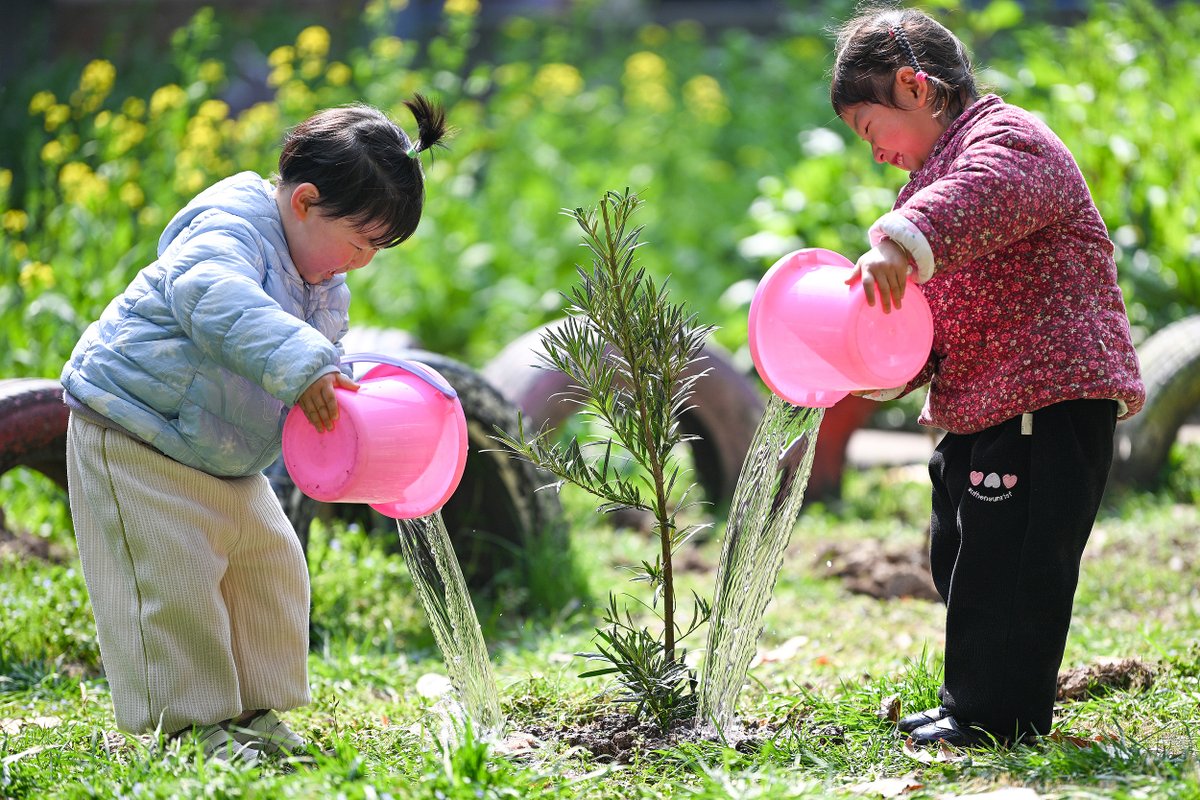 ShanghaiEye's tweet image. Mar. 12 is #TreePlantingDay or #ArborDay in #China! In 2024, China&apos;s forest coverage rate has reached 25%, and since 2012, China has completed the forestation of 1.16 billion mu (about 77.33 miliion hectares) of land, making China the country with the fastest increase in forest…