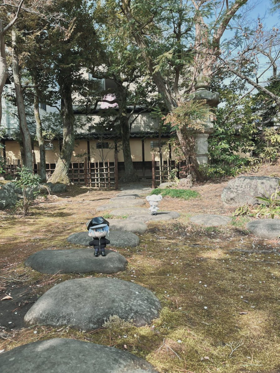 tsukasa753's tweet photo. まちスタのポイントの物外軒がとても素敵なところだった。🥰苔のお庭も茶室も素敵で時間が許すならずっとぼーっとしていたかったです。ぬい撮り捗ってしまって不審者ですみません。苔は傷みやすいから人もぬいも石の上を通って大事にしていただきたい https://t.co/NpAJh33Wsz