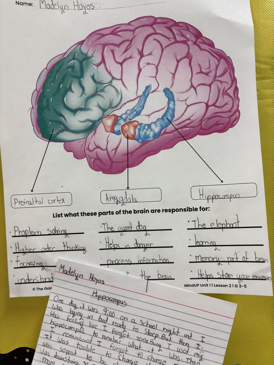 MrsMarzigliano's tweet image. Students are learning all about the parts of the brain and making self connections. #MINDUP
@literacy_fox @PS60queens @D27NYC