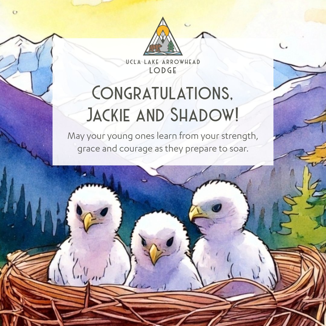 🦅🎉🦅 Congratulations to Big Bear’s most famous eagle family! 🐣🐣🐣 

Learn more about this growing brood and watch them close up: ow.ly/Rh1050Vgb3L

🥳💖 #BigBearEagles #EagleFamily #NatureMiracles #FabFive