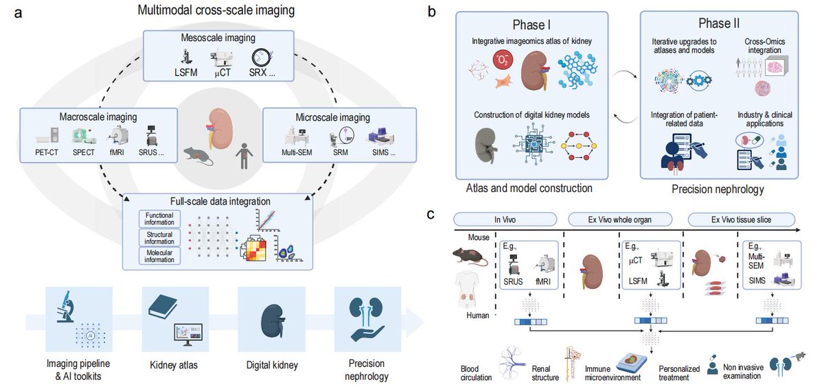 An initiative on #digital #nephrology: the #Kidney #Imageomics Project
Leading author: Bin Dong, Lei Ma, Li Yang, KIP Consortium
doi.org/10.1093/nsr/nw…