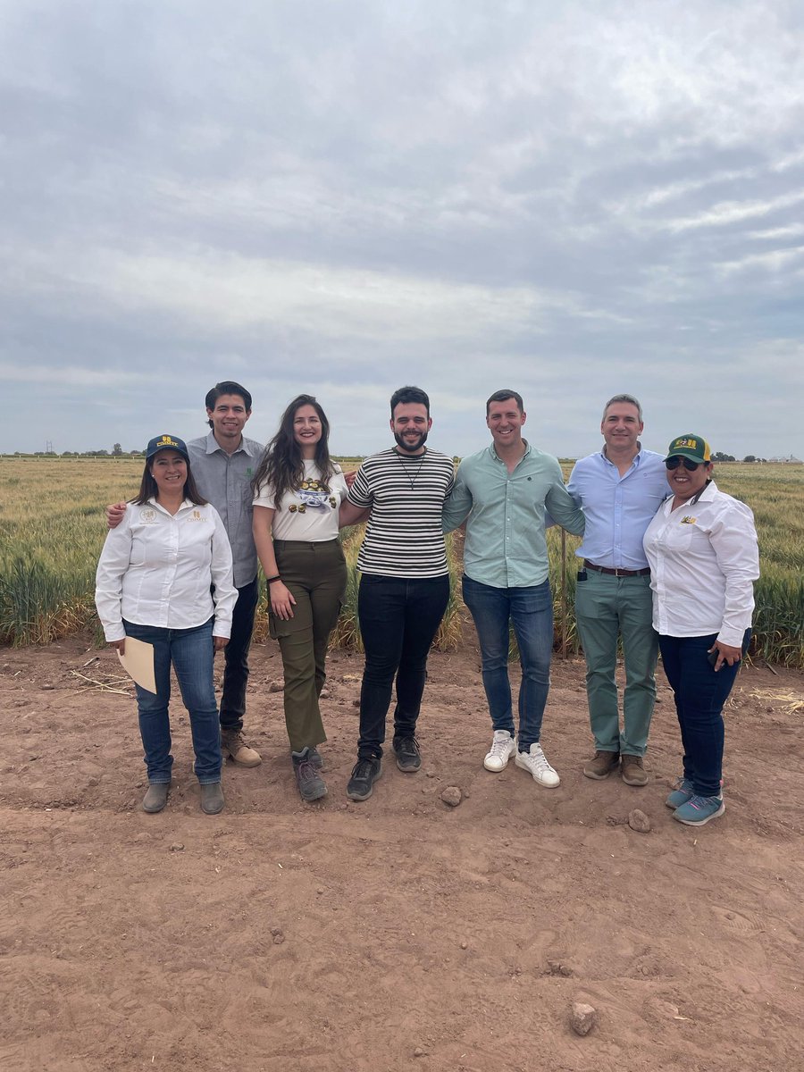 vcalabresmarin's tweet photo. Ayer en el día de campo de Global Wheat Program de @CIMMYT (Ciudad Obregón, México). En representación de @ETSIAMCordoba y con los compañeros del grupo de calidad y @AgrovegetalSA https://t.co/8MFExUYDXh