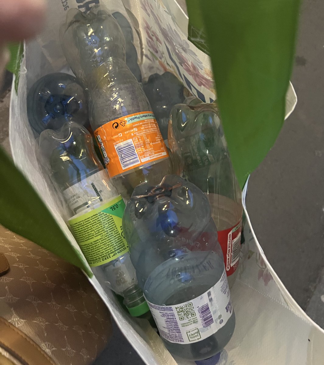 Anna Dobler tweet media