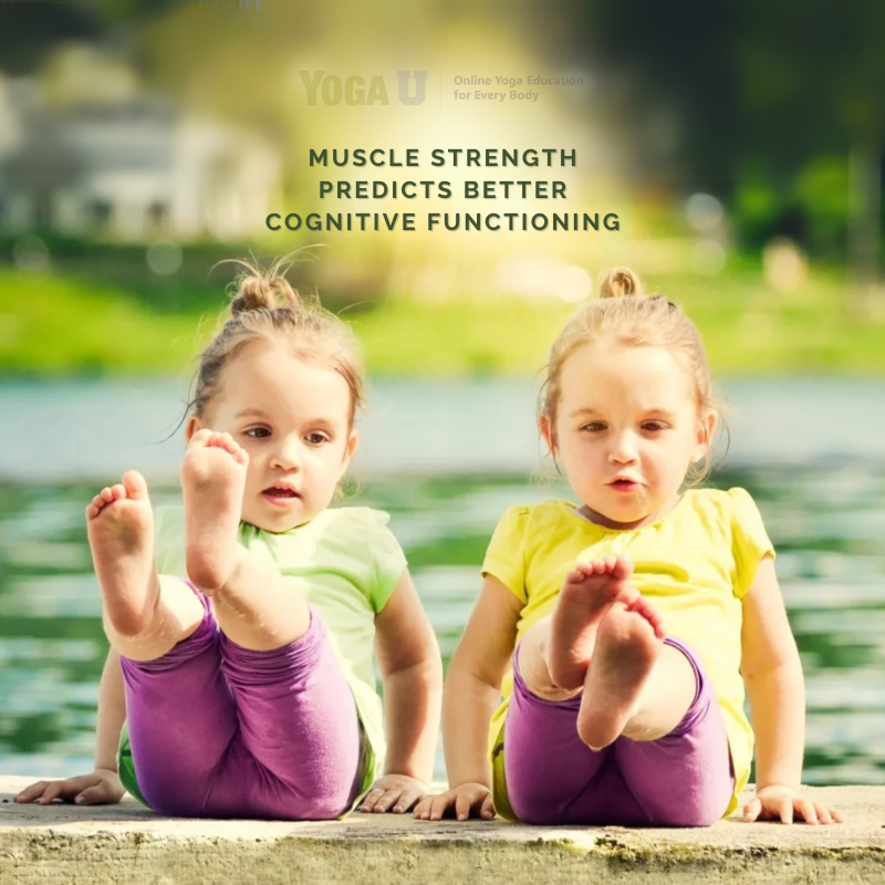 Think that cognitive aging is determined by genetics? Think again.

A study of aging twins shows that twins with stronger leg muscles tended to retain better cognitive function - independent of genetics.

yogauonline.com/yoga-and-healt…

#yogastudy #yogi #yogastrong #yogaformuscle