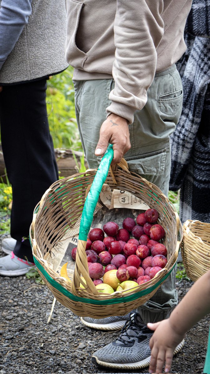 ¿Sabías que #Bulán en el cantón #Paute, es la parroquia con mayor producción de frutas en  #Azuay? 
 Te invitamos a recorrer la #RutaDeLasFrutas en Bulán: un paraíso de aromas, colores y sabores. 🍎🍐Conoce más 👉goo.su/ySrSh
 
#JotaLloretPrefecto
#AzuayEsElDestino