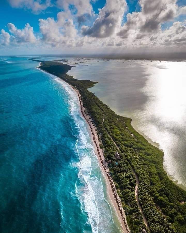 La belleza mágica de Sian Ka’an🐠
.
.
.
.

#SianKaan #DondeNaceElMisterio #SelvaSagrada #TulumProfundo <a href="/robpalazuelos/">Roberto Palazuelos</a> <a href="/Claudiashein/">Claudia Sheinbaum Pardo</a> <a href="/MaraLezama/">Mara Lezama</a>