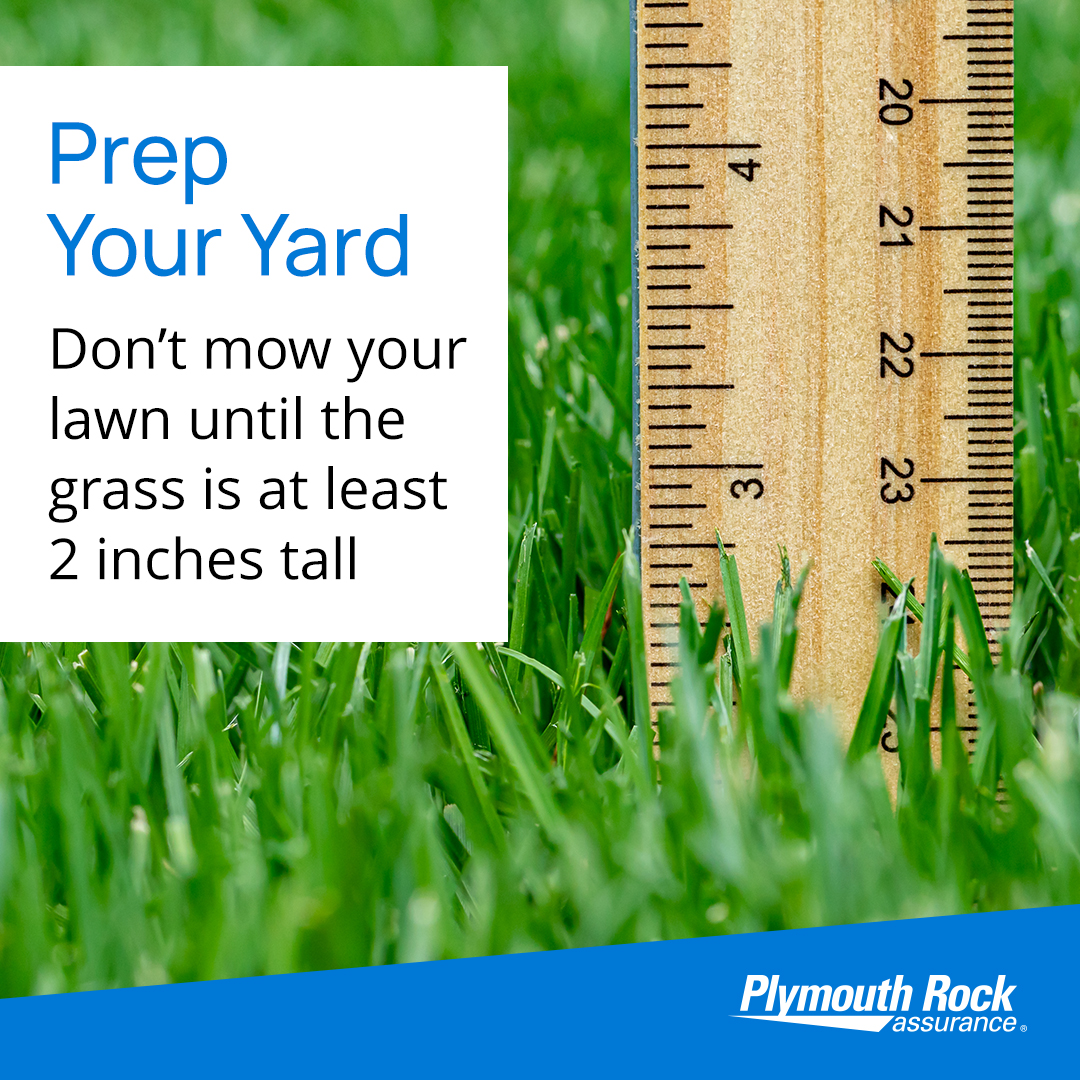 All across the country grounds crews are prepping fields for Opening Day ⚾ Want to do the same? Check out our tips to get your yard ready for the warm weather ahead. #PlymouthRock #OpeningDay ms.spr.ly/6013q5N0z