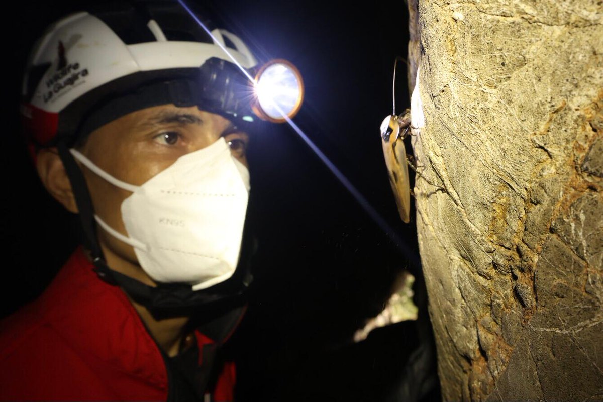 Alex Alberto González Vargas tweet media