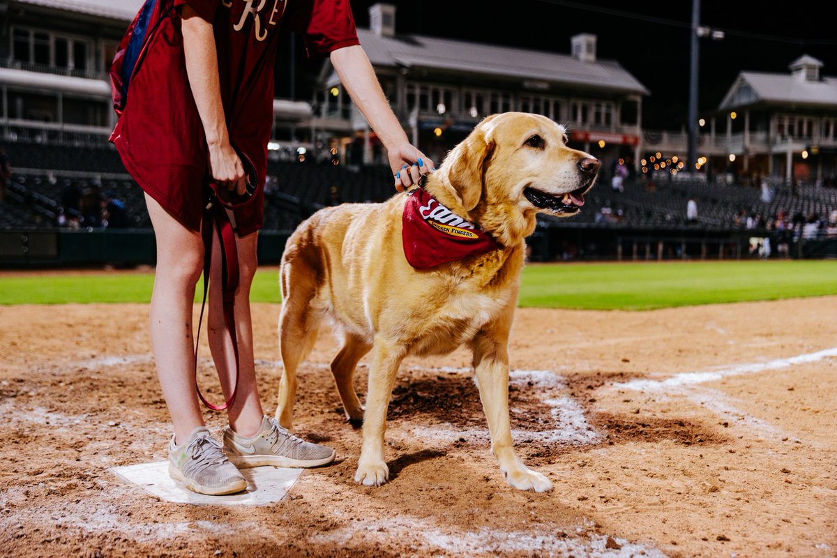 Its almost baseball time again!