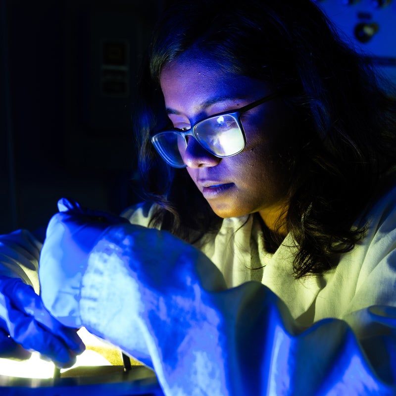🚨 News Flash 🚨

Graduate student, Aindrila Pal,  was featured in the #RiceNatSci March 2025 Newsletter. Pal works to reproduce early Earth conditions in a lab setting, to learn more about "how Earth gained the ingredients for life." 

#EEPS #RiceU #EarthScience #GeoScience