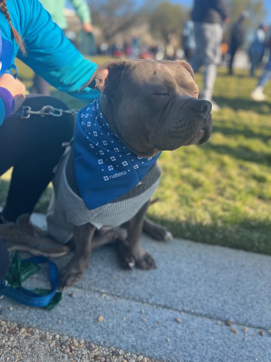 Natera Oncology tweet media