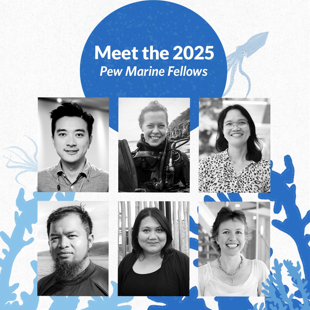 🎉 The wait is over! Meet the 2025 Pew marine fellows—visionary scientists and conservationists working to protect our ocean’s future.

Learn more about their groundbreaking work: pewtrsts.org/4c1h16q