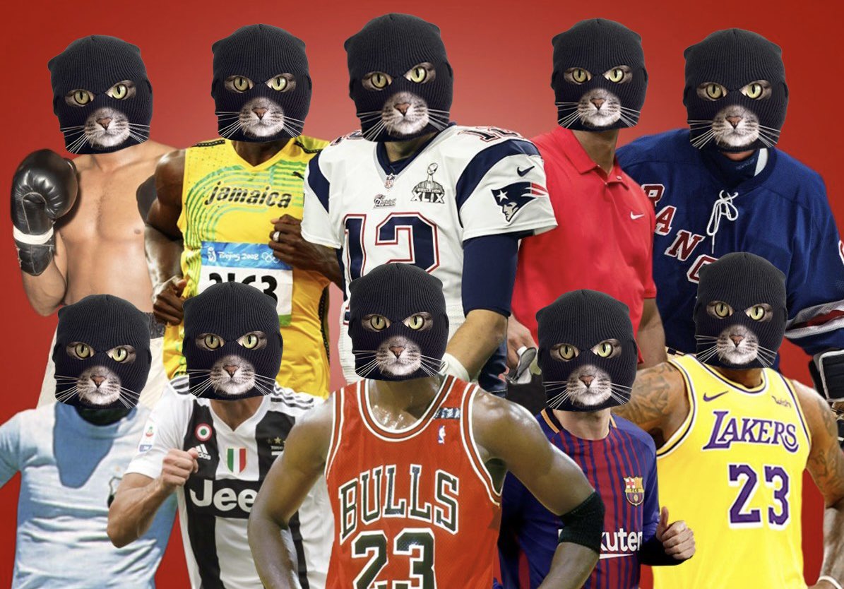 SkiMaskCat69's tweet photo. Game recognizes Game! Everyone on the timeline looking for a ticker ...$SKAT is here and we grinding ! #skimaskkat #masksup @IMTYLERBURKE @TheInvestronaut @CryptoWatcherOG @wallstreetbets @CryptoWendyO @IOHK_Charles @kpetric2017 @RockHomestead @vipercoincto @nickvaldez https://t.co/1AsnUuf2da