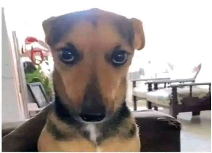 erickoc29's tweet image. La gente: los sueños son lo contrario
Yo soñando que tengo dinero