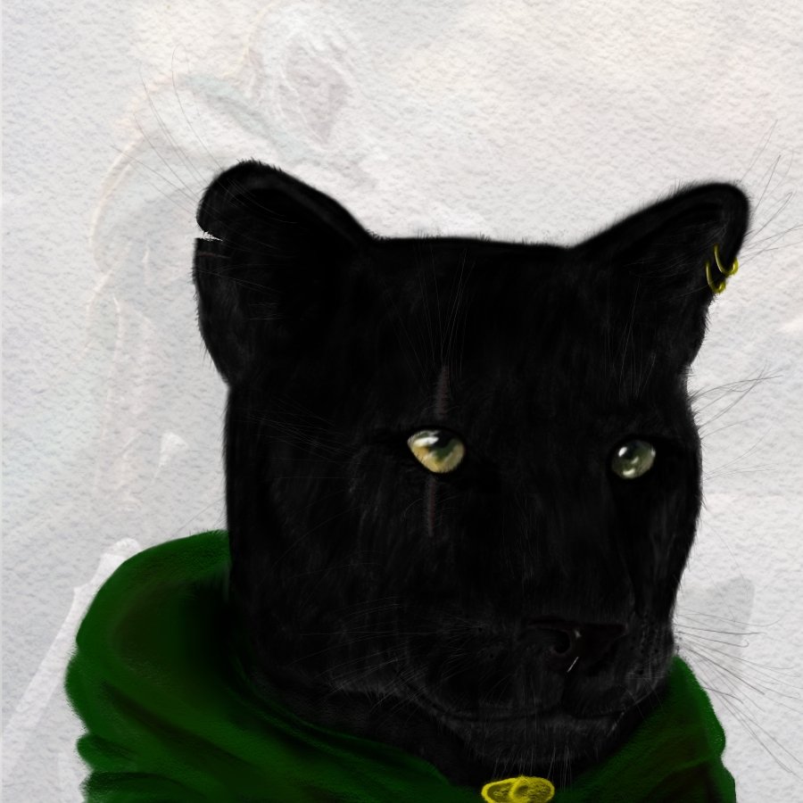 Shadeezxd's tweet image. Canvas cats (no art was hurt by ai in the making of these cats)