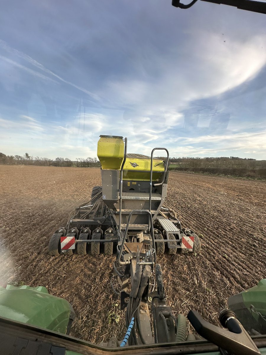 First up. Golden Promise <a href="/MSandPltd/">McCreath Simpson & Prentice</a>