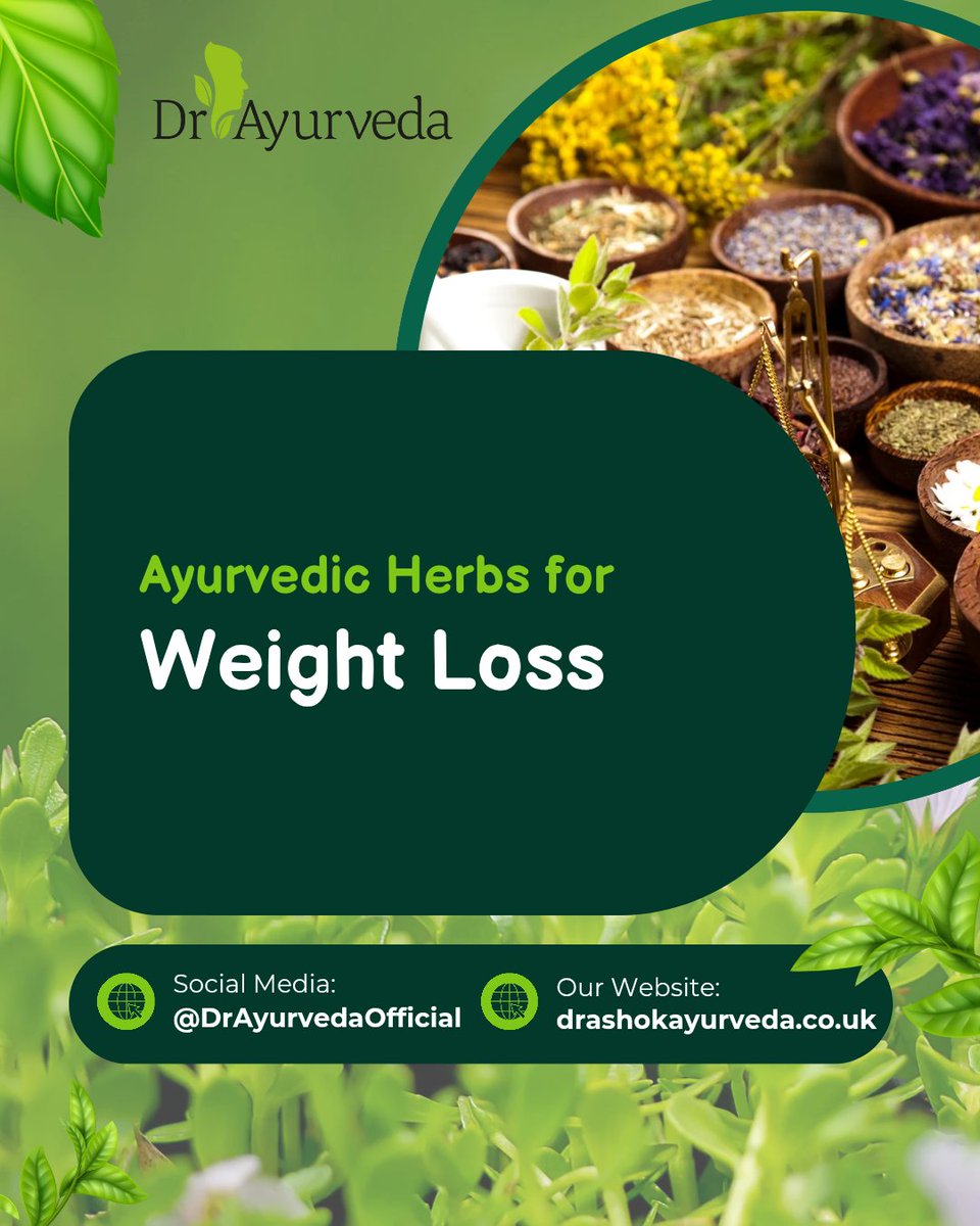 DrAyurvedaUK's tweet image. Have a look at few most important Ayurvedic Herbs for weight loss by DrAyurveda:
* Punarnava
* Triphala
* Fenugreek
* Guggul
* Kalonji
* Lemon-honey
*Turmeric 

#HerbsforWeightLoss #WeightLossHelp #AyurvedaforWeightLoss #WeightLossHerbs #HealthyHerbs #HerbsforLife #DrAyurveda