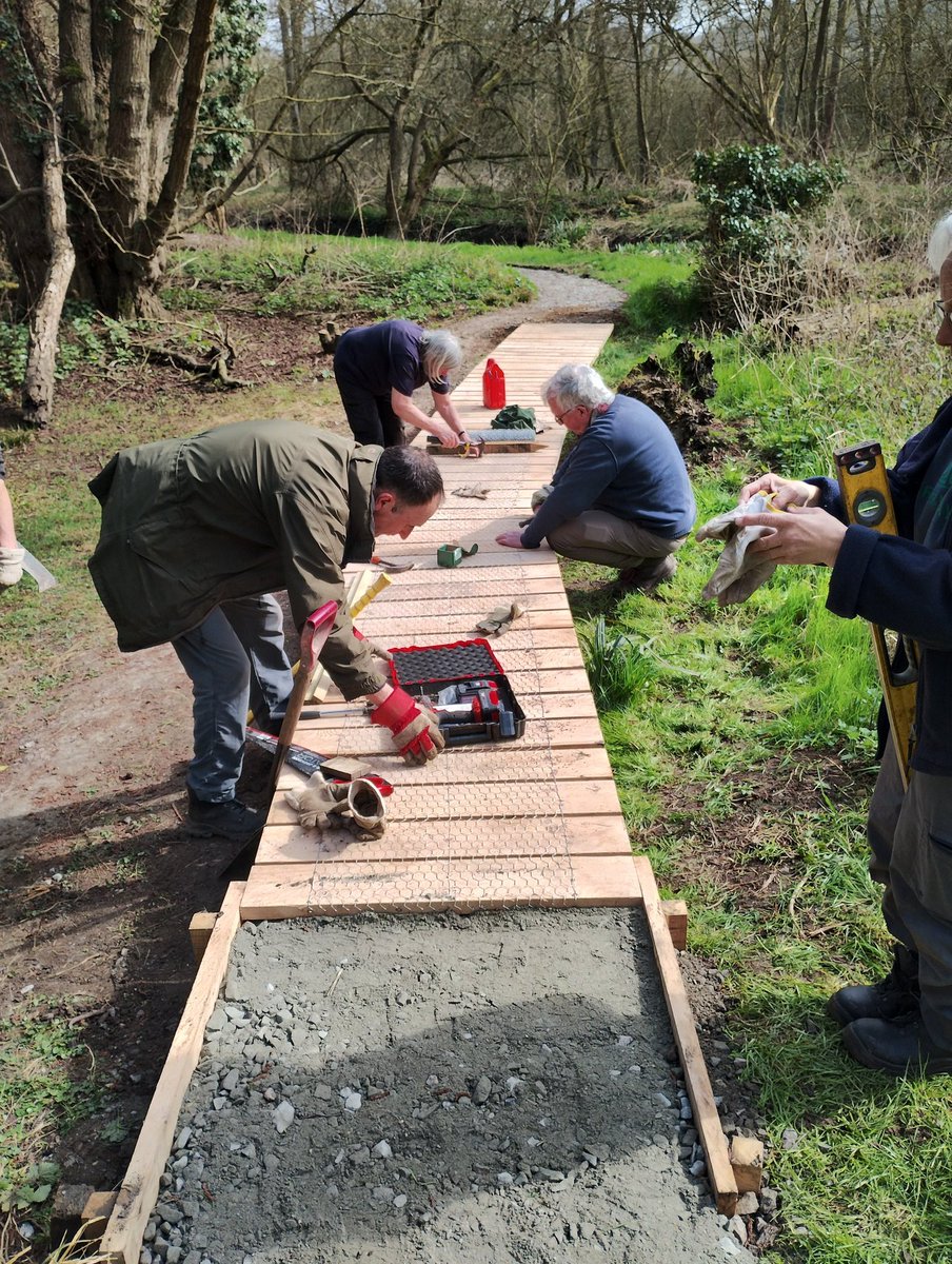GreenwaysProj's tweet image. More path improvements in Belstead Brook Park, thanks to grant funding from @suffolkcc . New steps from Stoke Park Drive &amp;amp; new boardwalk (made from our own sweet chestnut timber) and path surface alongside the Belstead Brook. @BaberghSuffolk @IpswichGov #volunteers #pathwork