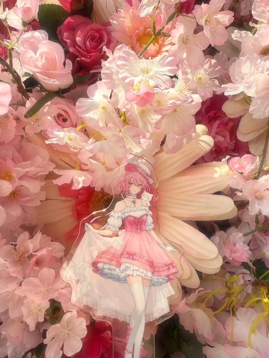 87maru_NQ's tweet photo. 春とピンクが世界一似合ってるჱ̒՞ ̳ᴗ ̫ ᴗ ̳՞꒱💖 https://t.co/vNQ9CrdrNi