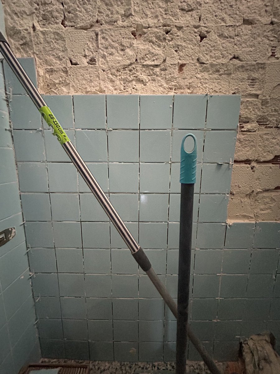 Flanagan McPhee tweet media