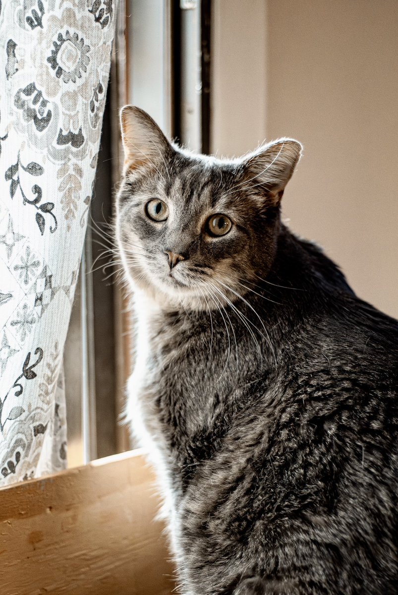 holly 🐛 tweet media