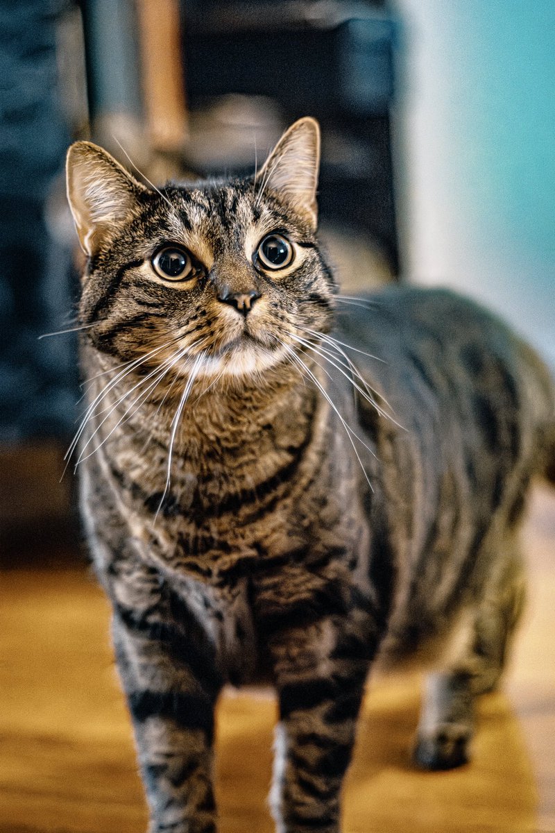 holly 🐛 tweet media