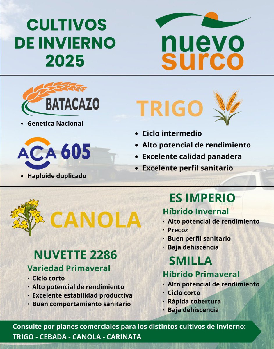 Se aproxima la zafra de CULTIVOS DE INVIERNO! 

El insumo más rentable es planificar tus siembras. Por eso, en Nuevo Surco contamos con muy buenas opciones de semillas para todos los cultivos.

Disponemos de planes comerciales para #CANOLA , #CARINATA , #TRIGO y #CEBADA