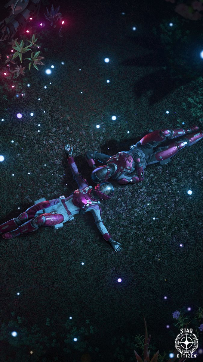 Star Citizen tweet media