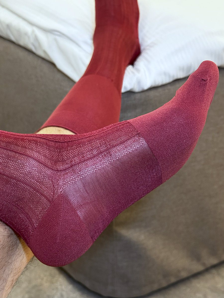 SockratesIV tweet media