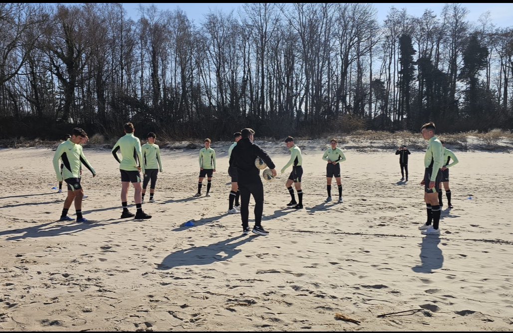 Shane Nolan tweet media