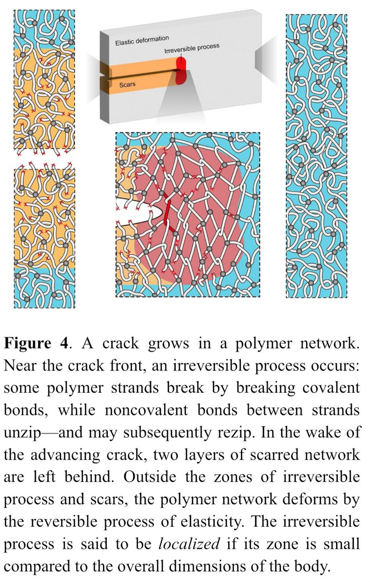 Another piece of artwork <a href="/ZheqiChen/">Zheqi Chen</a>: a crack growing in a polymer network. Note the three zones:

Irreversible process of snapping and slipping of strands

Scars

Reversible process of elasticity