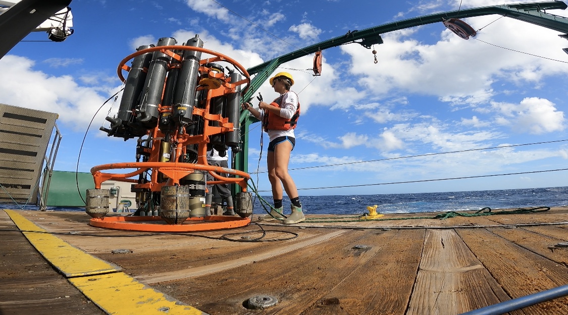 NOAA_AOML's tweet image. A new study by scientists at @CIMASRosenstiel, @MiamiRosenstiel, and #AOML analyzed nearly four decades of ocean observations along the Abaco 26.5°N hydrographic line and found evidence of significant cooling & freshening of the deep ocean at 26.5°N. More: bit.ly/41MSAX9