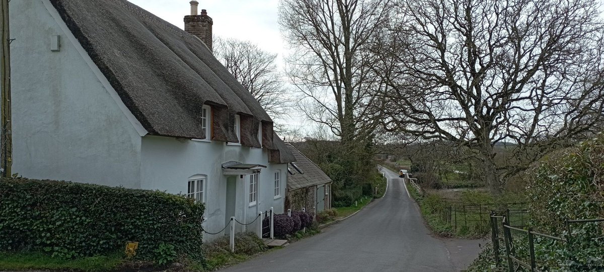 npellinacci's tweet image. Dorchester day 2 was a walk to and around Puddletown Forest: