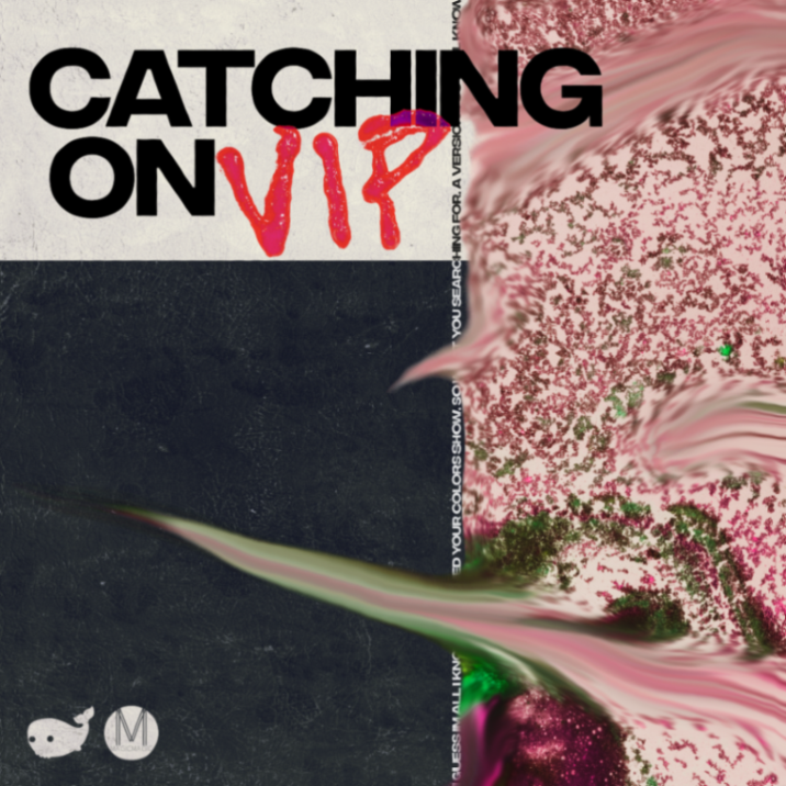 BronzeWhale's tweet photo. Catching On VIP is officially OUT NOW. 
We wanted a version that hit a little harder - built for live sets. 
Let us know what you think 👇🏼

https://t.co/u9HCwVYGUw

#catchingonvip #bronzewhale #newmusic #indieelectronic #housemusic #ukgarage https://t.co/kyZVD4haR1