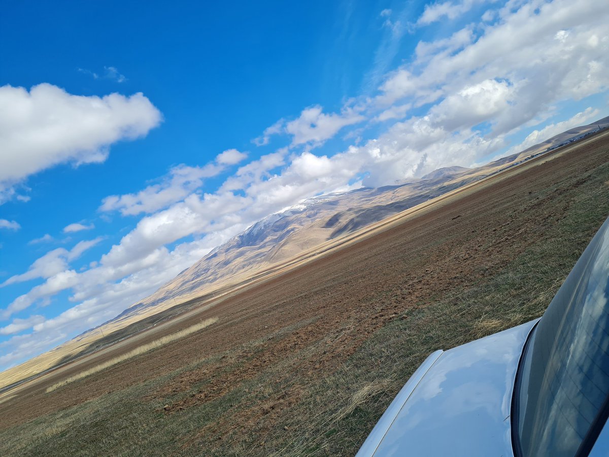 "her tu welatê min î bênav î: 
di tofana jiyê de tu qeraxa herî kevî 
tu li başûrê dilê min dikevî: 
layek te rastî, layek yekera xeyalekê!"

*Arjen Arî 
#Kurd 
#Kurdî 
#Sîpan