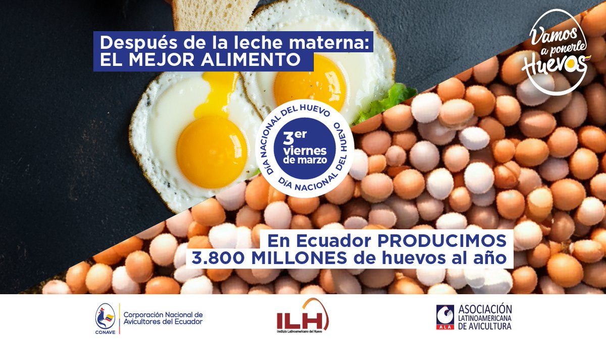 Para tu bebé, una proteína de alta calidad, hierro y colina, el huevo nutre su cerebro, fortalece su sistema inmune y apoya su crecimiento. 👶✨
Para Ecuador es producción de más de 3800 millones de huevos al año! 
#VamosAPonerleHuevos #DiaNacionalDelHuevoEC