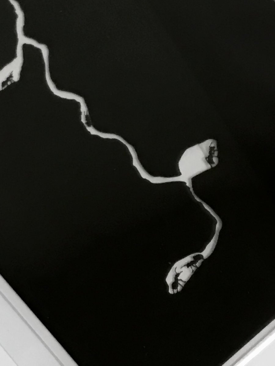 글자를 수집하는 개미의 집이라니 …