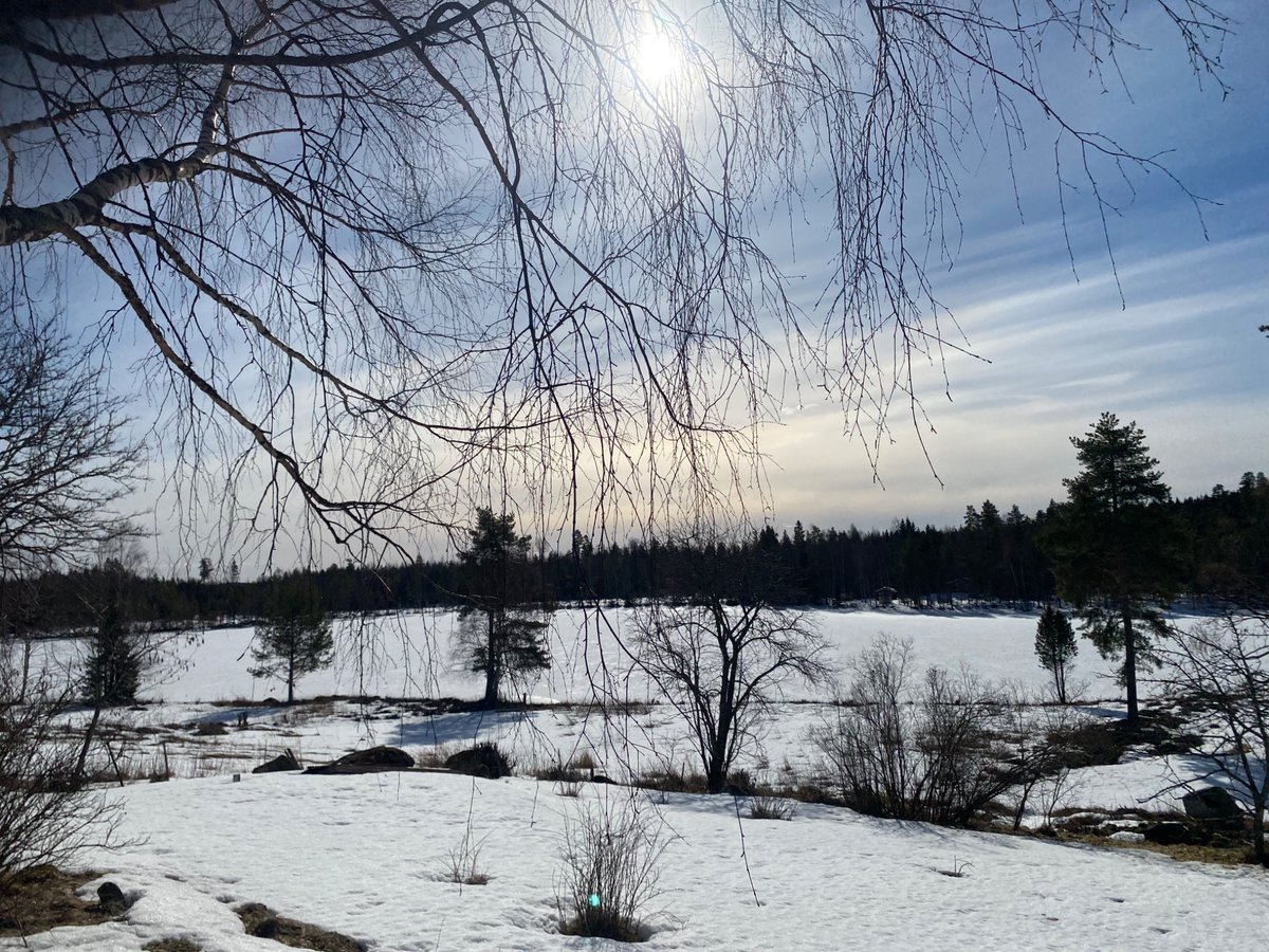 Kevät on 🤗 Nyt kannattaa nauttia, kun kolmen kuukauden kuluttua taas päivä alkaa lyhentyä ☀️ Intoa ja työmotivaatiota puhkuen kohti ulkohommia 🌞 Yhä voin hyvin, mikäli joku sitä pohtii 🐬 Jos vielä tänään auton #pesis 💦