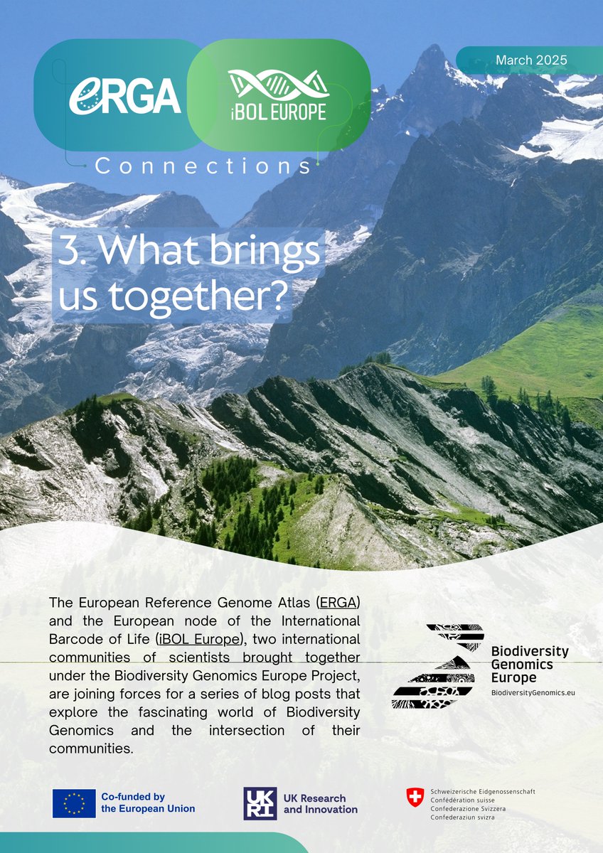 erga_biodiv's tweet image. ✨ Check out the #EasyConnection leaflet for a more summarized (and colorful) version of this post ➡️ biodiversitygenomics.eu/wp-content/upl…
