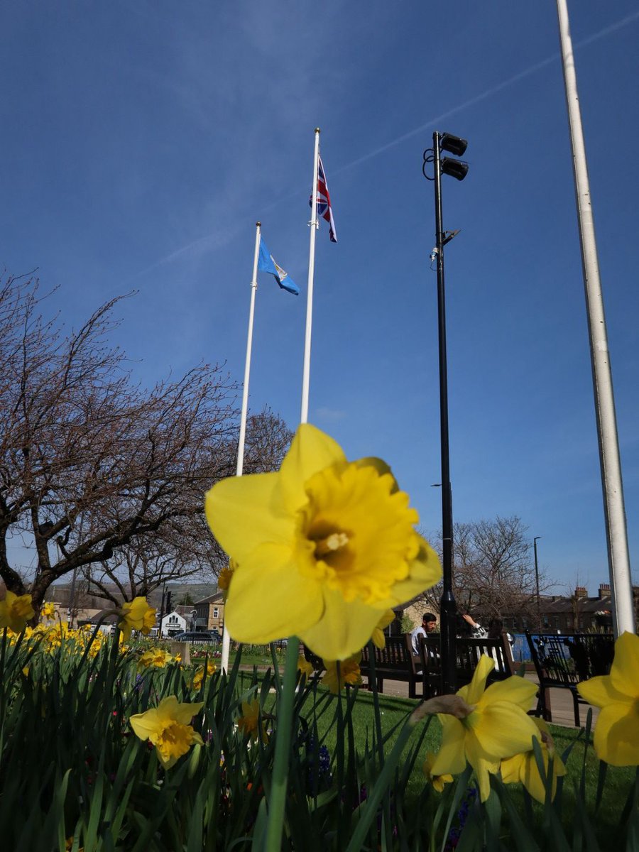 KeighleyCouncil's tweet photo. Spring has sprung in Town Hall Square 
From vibrant daffodils to lush greenery, the stunning displays are courtesy of none other than Steve Thorpe &amp; Son Gardening Ltd
Excitement builds as we anticipate the  await the arrival of the Yorkshire in Bloom judges. https://t.co/NQanCMoI2E