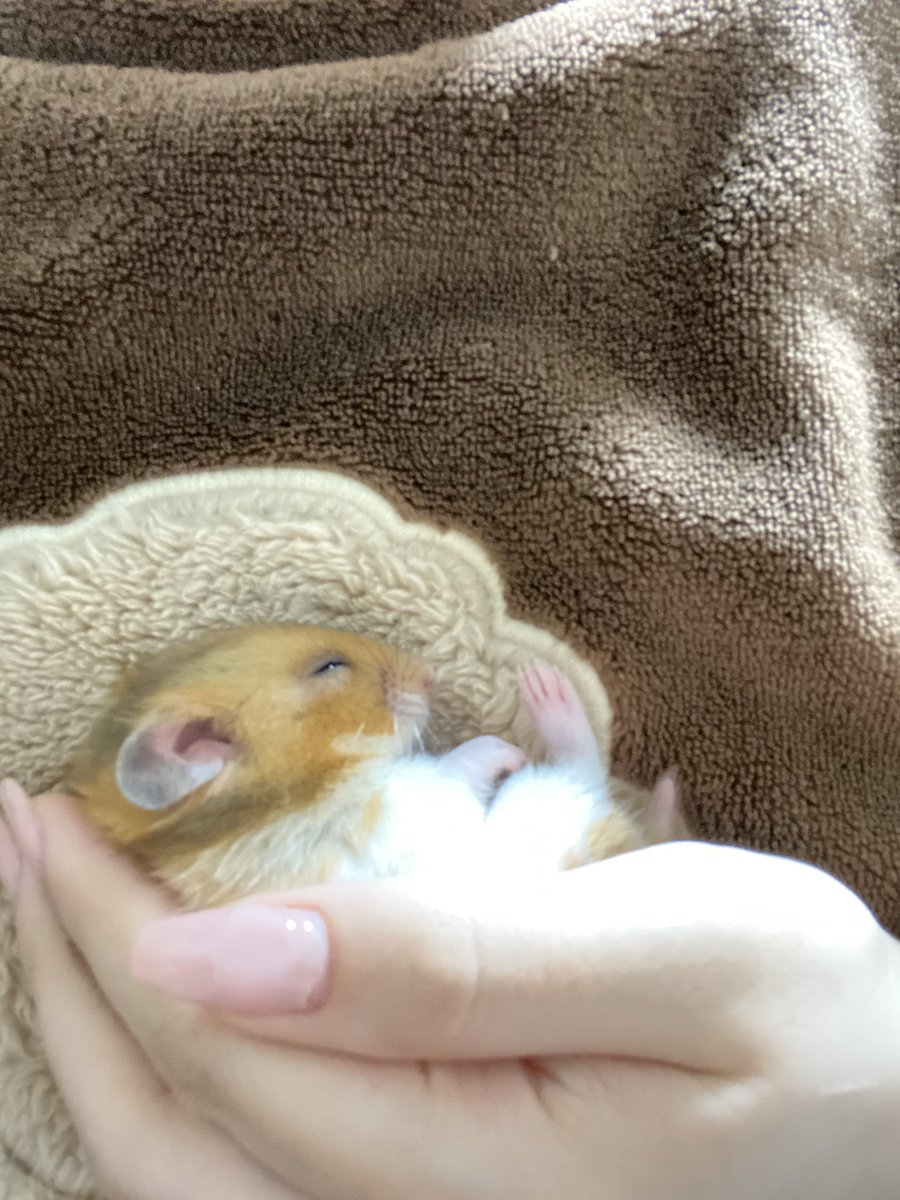 赤ちゃんすぎるよ👶😭