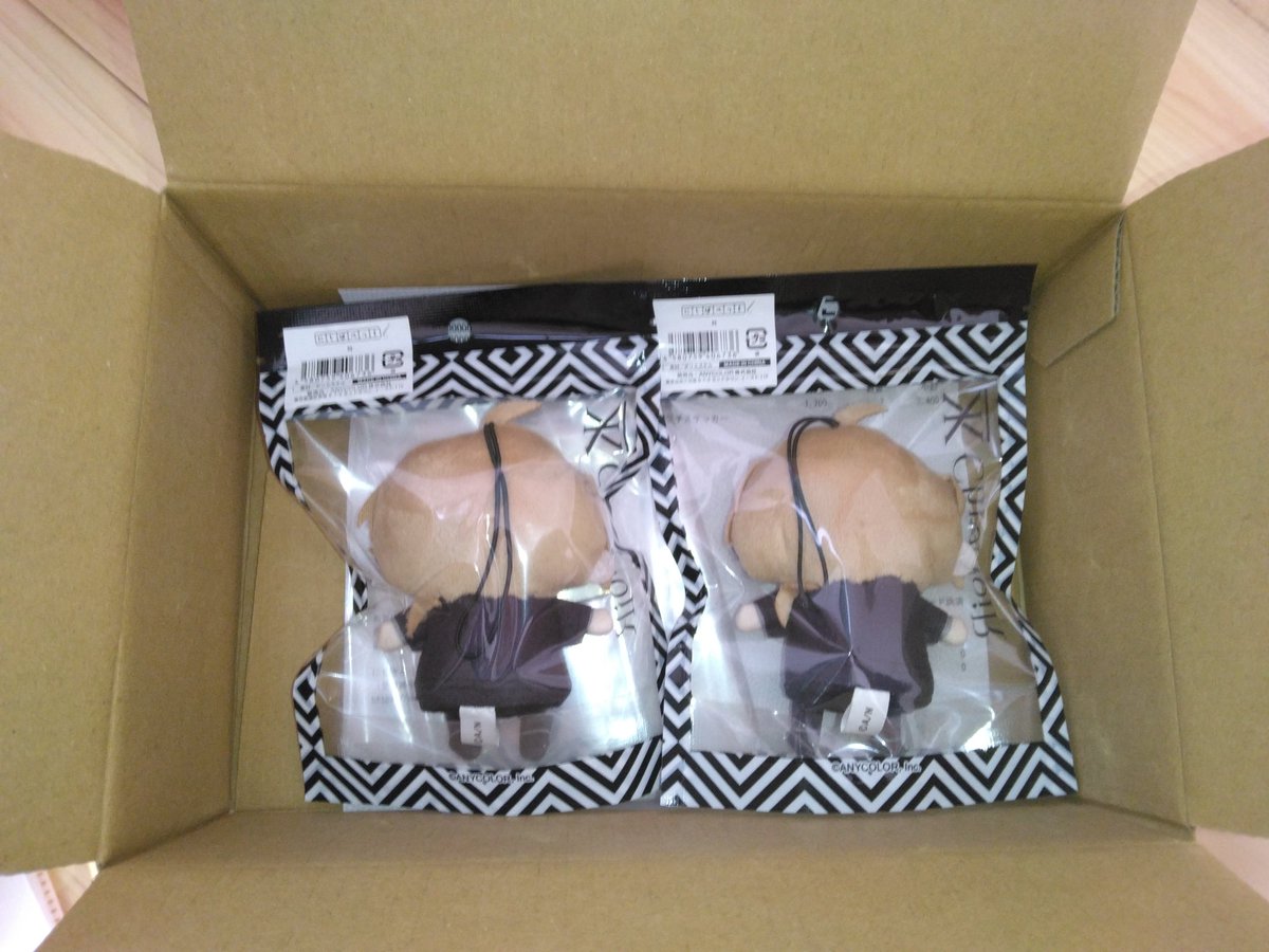 パペが来たぞ(この状態で届いた)