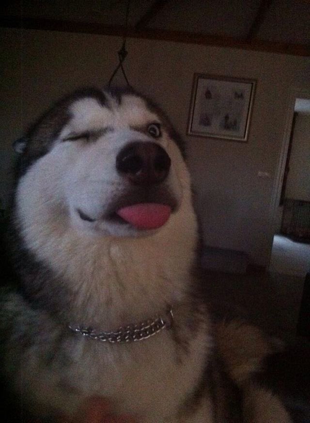 เป๊ะเยยหนิ 🫳

#HEARTchuthiwat 
#BUS_BOWWOW_MV