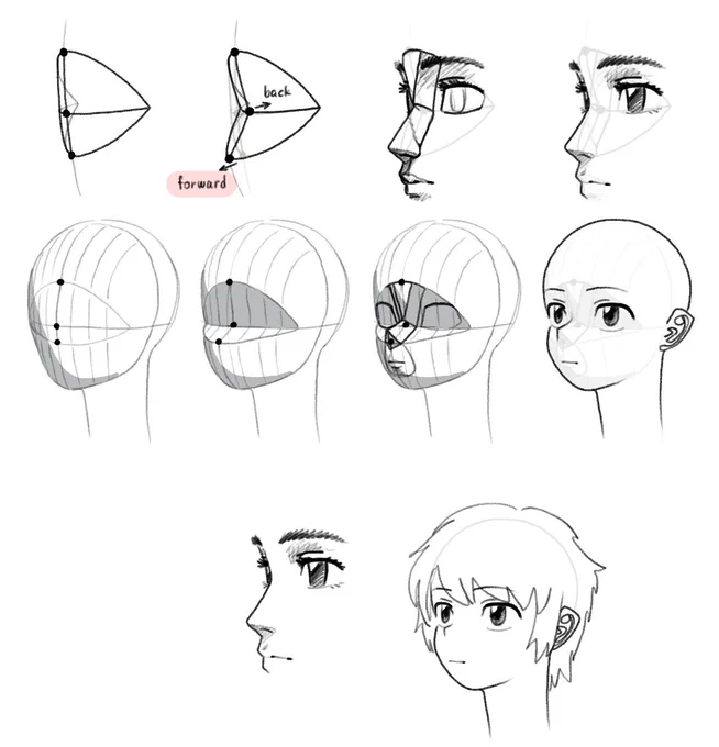 本日の新理解ポイント

鼻柱部分を前に出して顔面下部の立体感を出し、顔の起伏をよりリアルに則しつつ魅力のあるデフォルメに近づける 