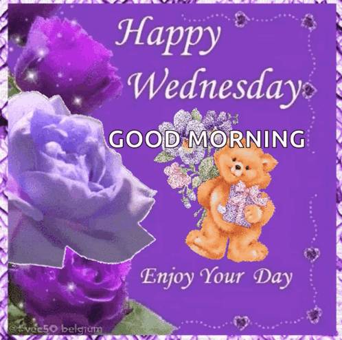 IELTS (@s_douglas78672) on Twitter photo 